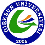 جامعة جيرسون  تركيا